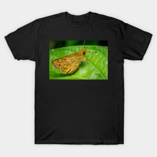 Unique and organic photo of a yellow skipper (butterfly) T-Shirt